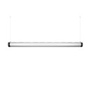 Pendularis - Floating Indoor Garden 11