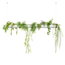 Pendularis - Floating Indoor Garden 31
