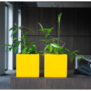 Largo QU 30x30/h30, lackiert in RAL 7043 MA