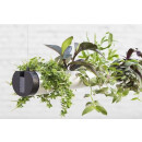 Pendularis - Floating Indoor Garden Midi 0,5
